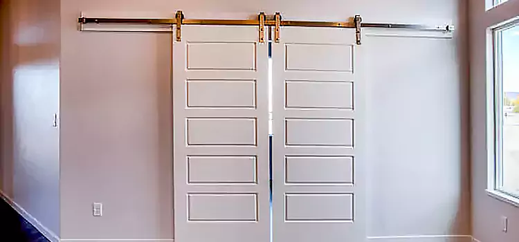 Glass Barn Door with Installation Hardware Kit San Rafael