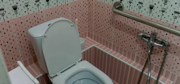Meeting Diverse Needs With Accessible Restroom Solutions in San Rafael, CA